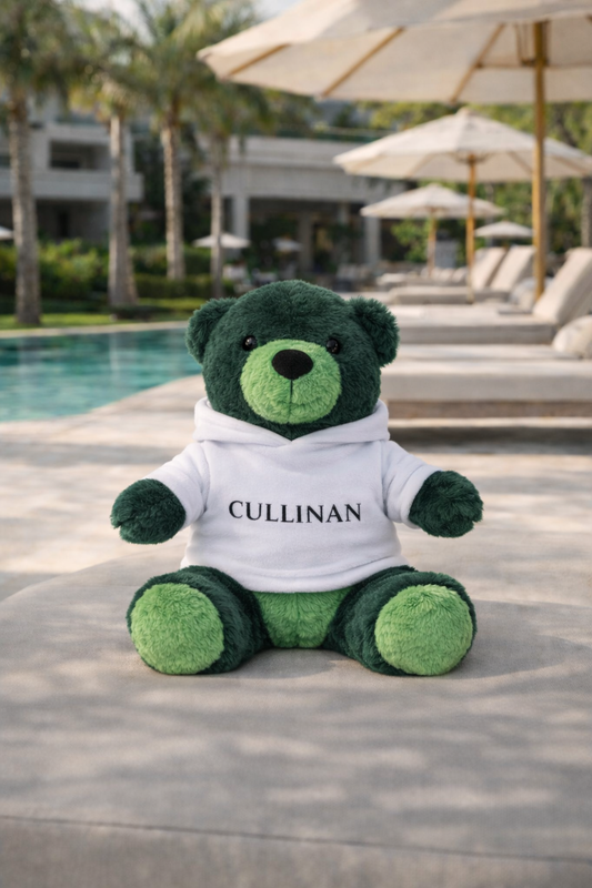 KAPSONLU OYUNCAK AYI 25 CM