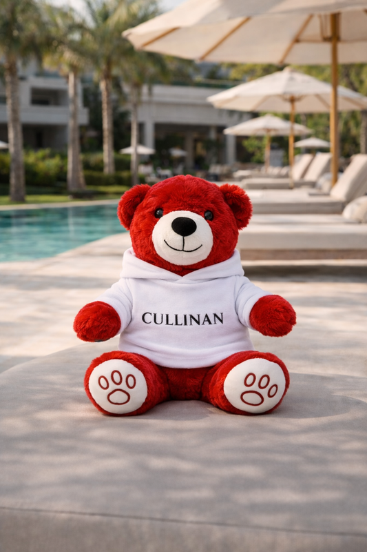 KAPSONLU OYUNCAK AYI 25 CM