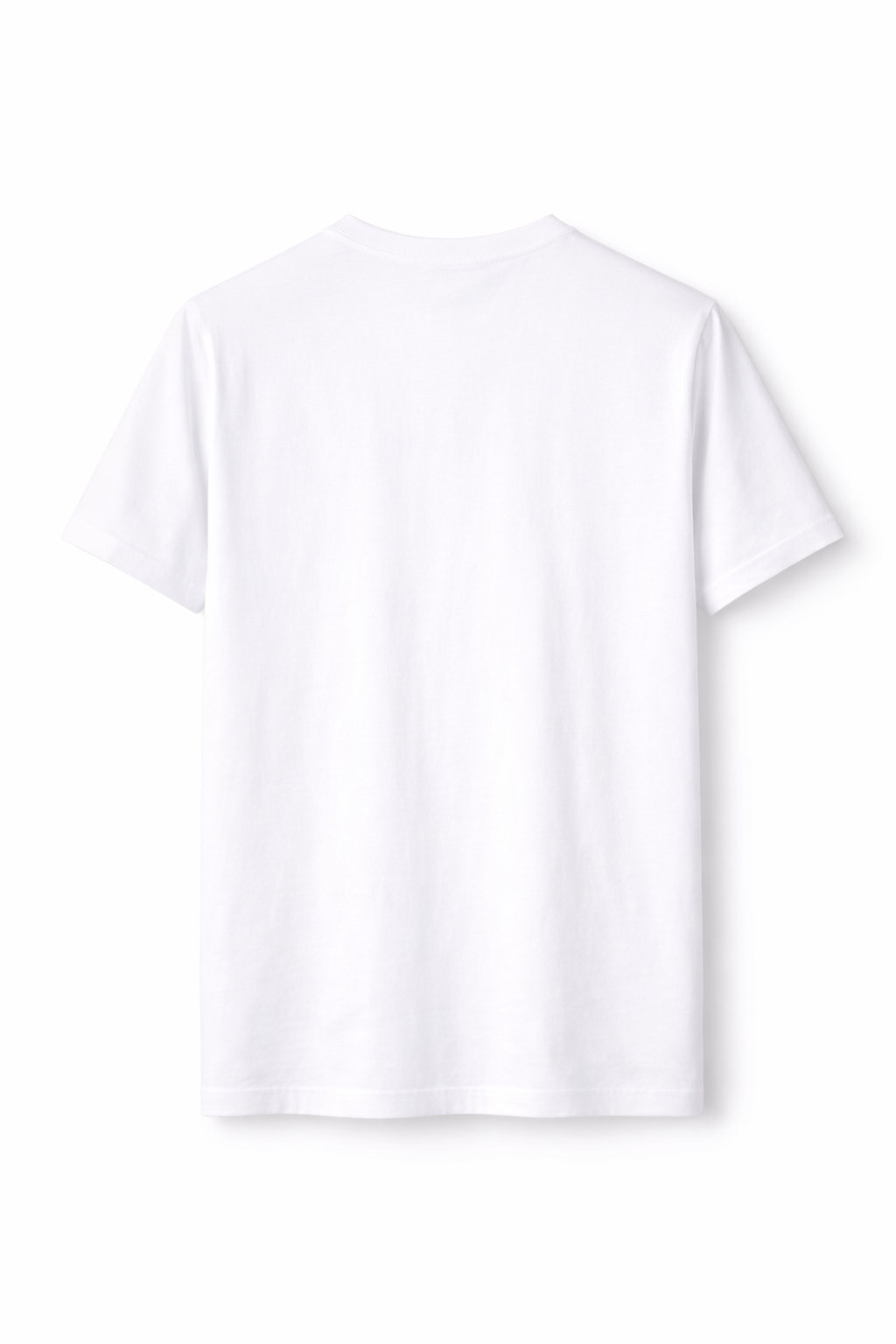 CLN-DOLU BASKI B.YAKA TSHIRT