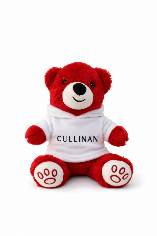 KAPSONLU OYUNCAK AYI 25 CM